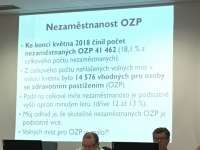 Fotografie alba Krajská konference o zaměstnávání OZP - 20.6.2018 ve Zlíně